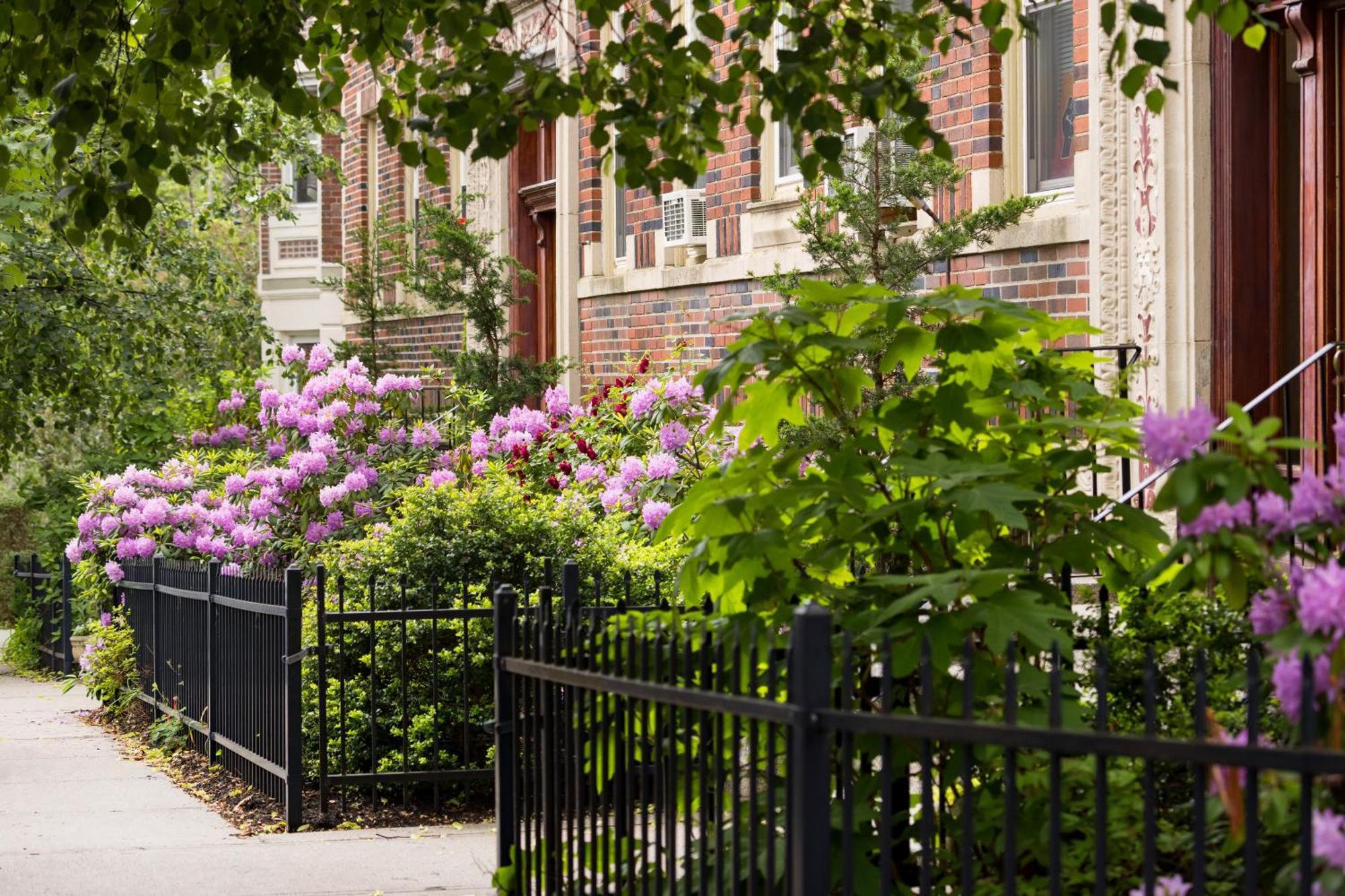 Hotel The Arcadian (Adults Only) Brookline Exterior foto